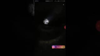 Pocong Antengbigo Live