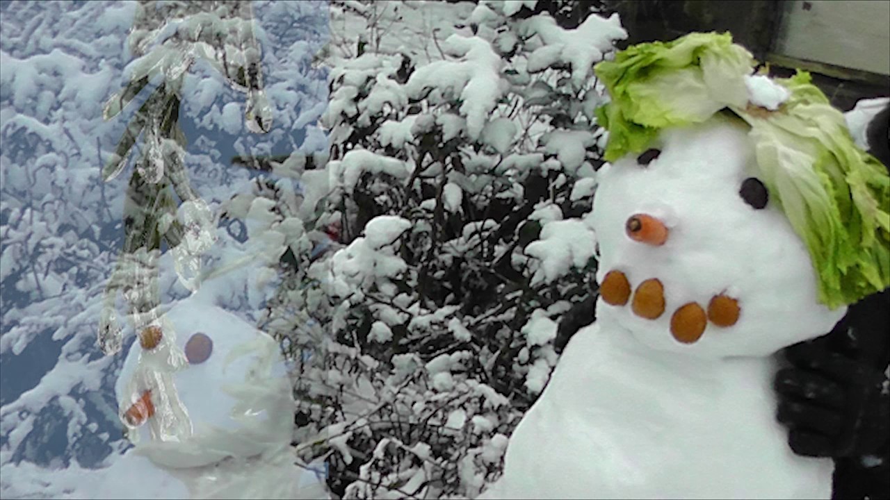 Ach bittrer Winter  (trad.) - text in the description - songbird