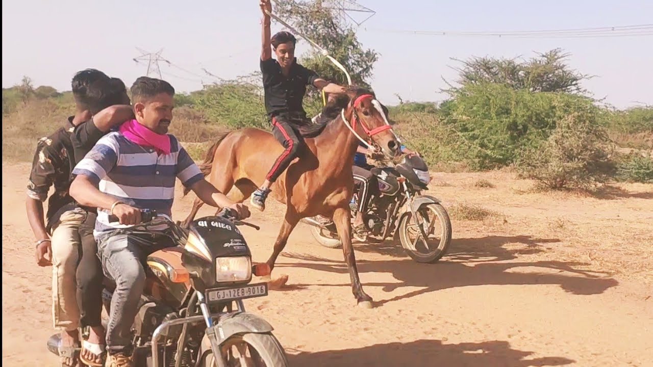 kutch best horse race in moti Khakhr mundra મધુ Vs સમ્રાટ YouTube