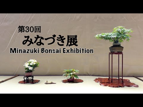 全国皐月花季大陳列展 写真帖 '76年回〜　12冊セット BONSAI Satsuki Bonsai Exhibition at the Omiya Bonsai Museum