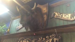 Animatronic Buffalo and Moose