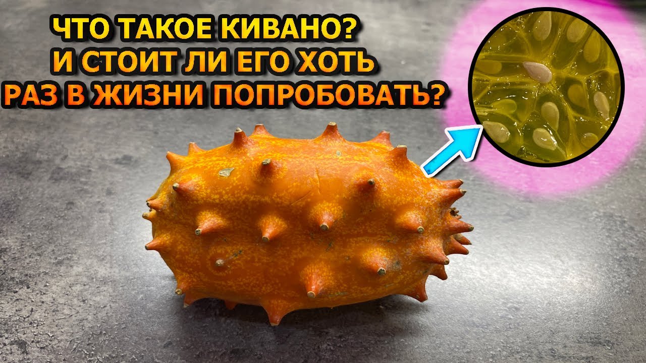 Что собой представляет плод - Кивано (африканский огурец) и стоит ли его покупать?