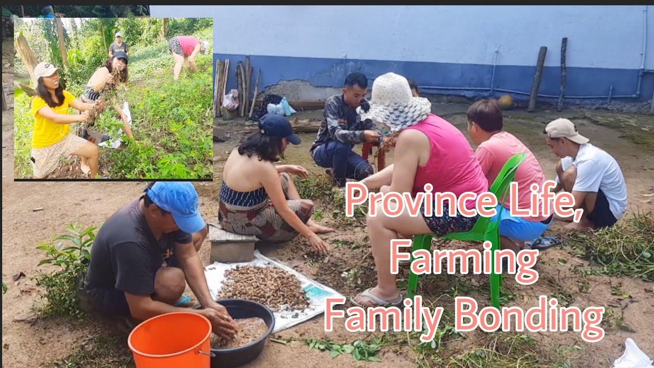 A Day in Province Life, Farming, Family Bonding in Bohol Philippines ...