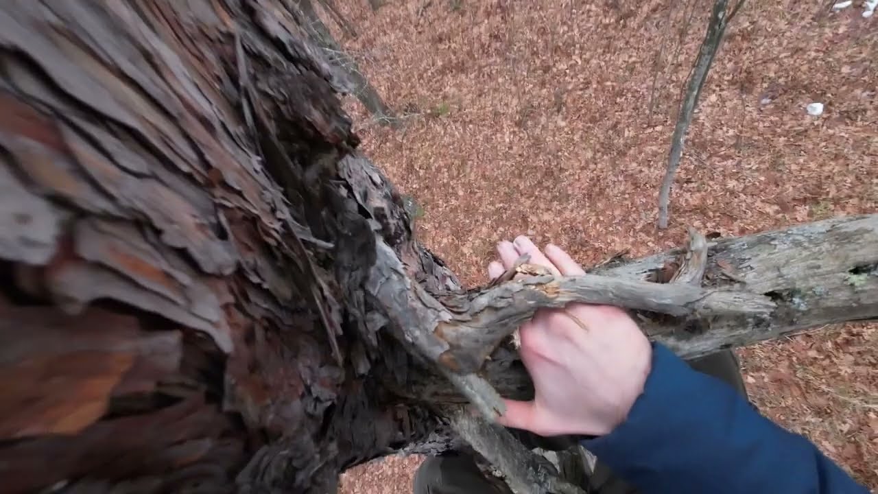 Sketchy Red Pine Free Climb