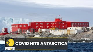Antarctica gets hit by Covid; NSF pauses all inward travel to continent | Latest News | WION
