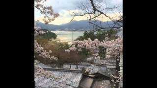 Heavenward ~Loudness~ (cover) TOMMY MURAKAMI より春を込めて