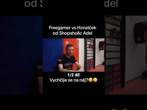 FreegamerCZ VS Honzíček
