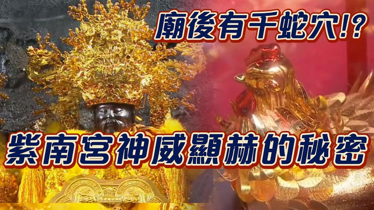 金雞母就是土地公的分身!？紫南宮後的小龍穴 是神威顯赫的秘密!？｜寶島神很大online