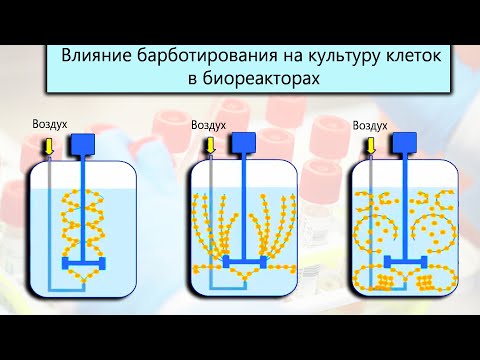 Влияние Барботирования на Культуру Клеток в Биореакторах