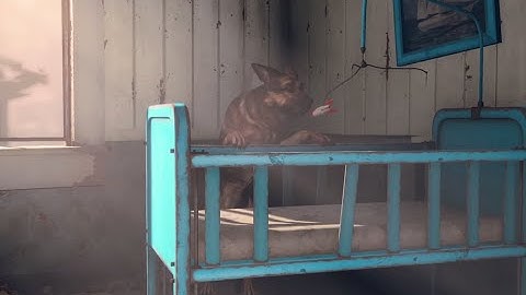 Fallout 4-Character Creation!