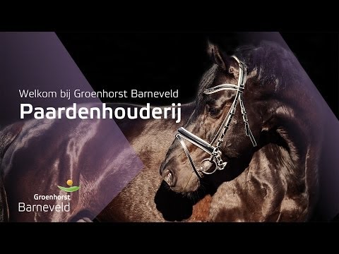 Paardenhouderij | Aeres MBO Barneveld