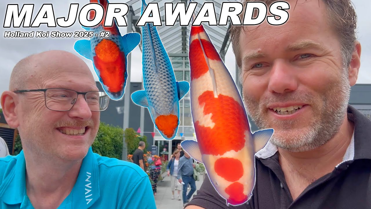 🎏 Holland Koi Show 2025 – Deel 2: De grote winnaars van de Major & Special Awards [met Bas en Ruud]