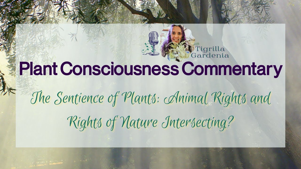 Sentience of Plants, Intersection of Animals & Nature Rights | Plant Consciousness Commentary