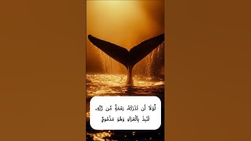 فَٱصْبِرْ لِحُكْمِ رَبِّكَ -  جزء من سورة القلم - مشاري راشد