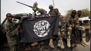 Boko Haram Kills Four Farmers In Borno — And Sets Their Corpses Ablaze