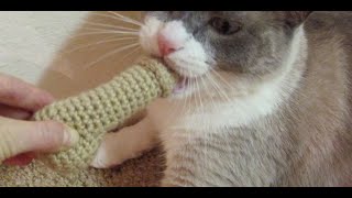 Mated in bed to keep warm screenshot 3