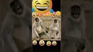ক ভডও বনব Funny