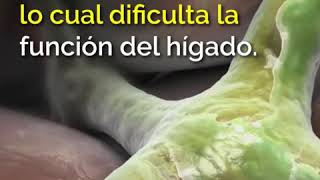 Porqué es bueno beber agua antes de comer Porqué es bueno beber agua antes de comer
