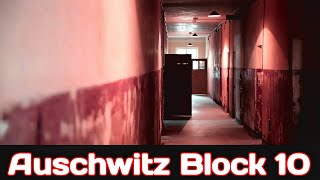 Auschwitz Block 10