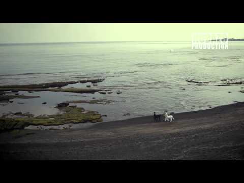 [Teaser] 노라조(Norazo)-야생마(wild horse)