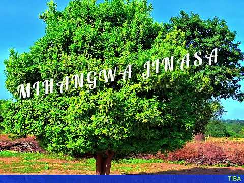 MTI UNAOTIBU WATU MTI UNAOTIBU WATU