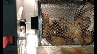 INSTANT VORTEX PLUS  AIR FRYER PLUS CHICKEN WINGS CHICKEN LEGS