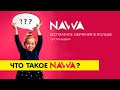 Стипендиальная программа  NAWA | Поступление в Польшу  со стипендией | #1