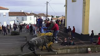Tourada à corda em Santa Bárbara, 30 de abril de 2022