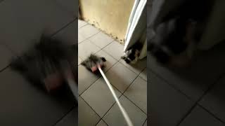 Download Lagu tu kan jatoh, rese sih MP3