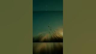 Story WA Klx 30 detik simpel