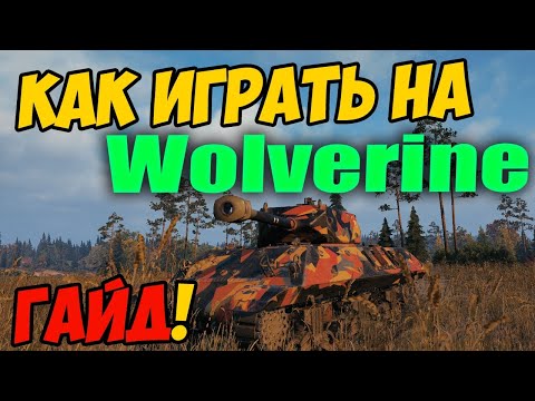 Video: Razlika Između Tasmanskog Vraga I Wolverinea