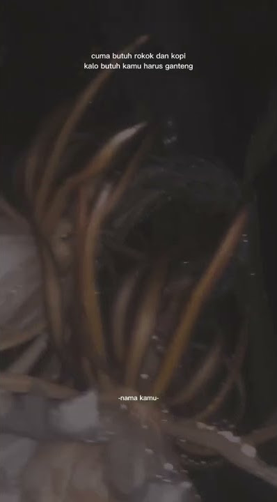 story wa keren sad boy