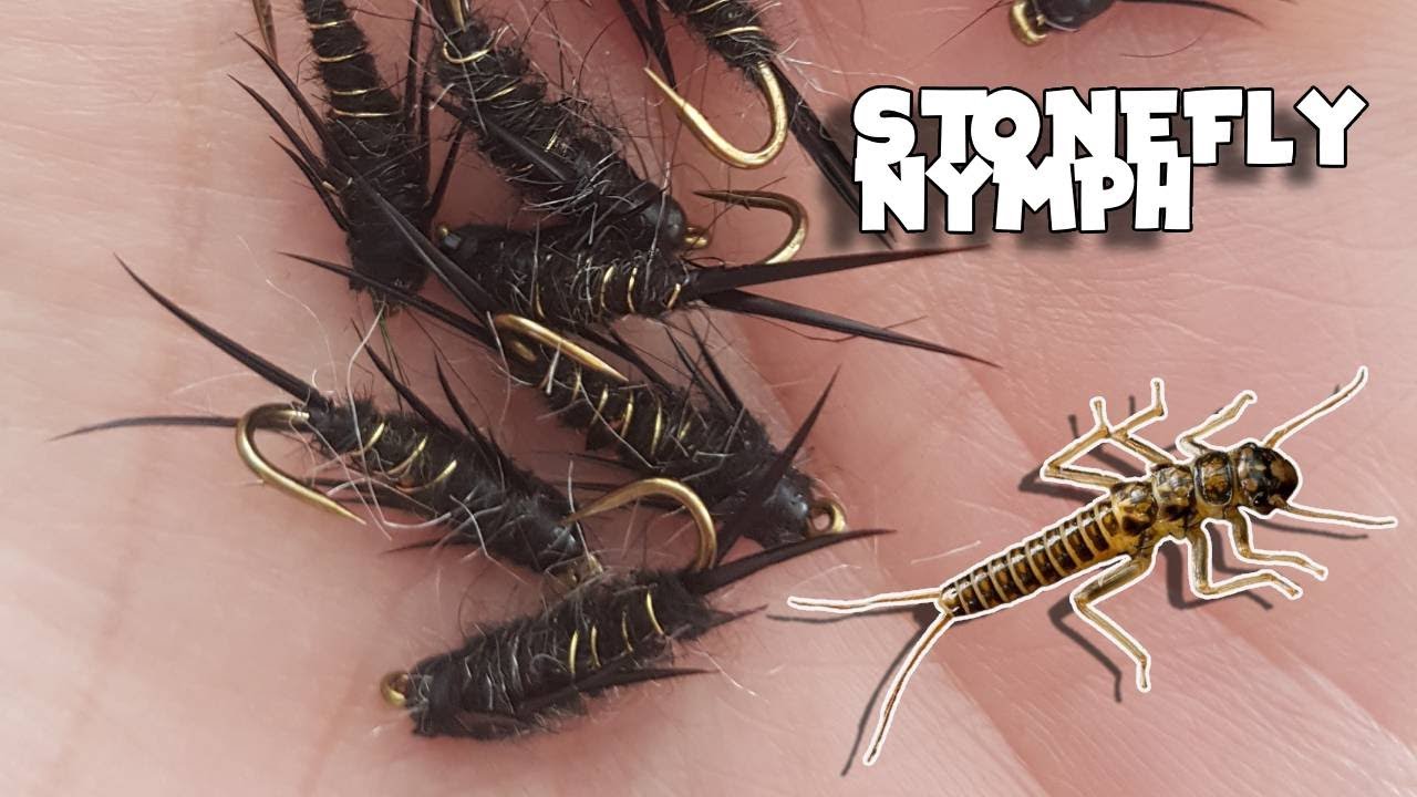 Fly tying Stonefly Nymph YouTube
