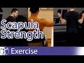 Scapula Strengthening Exercises | Early Shoulder Rehab