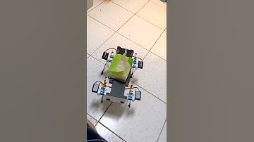 Stanford Pupper(with low cost)