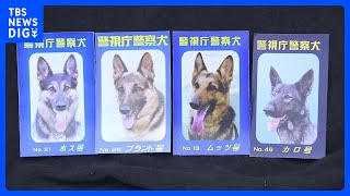 警察犬・警備犬の慰霊祭 シェパード「ホス号」現場遺留物の靴から犯人発見など功績多数 警視庁｜TBS NEWS DIG