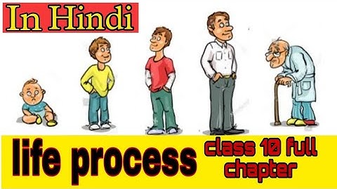 LIFE PROCESSES in 30 Minutes || Mind Map Series for Class 9thand 10th