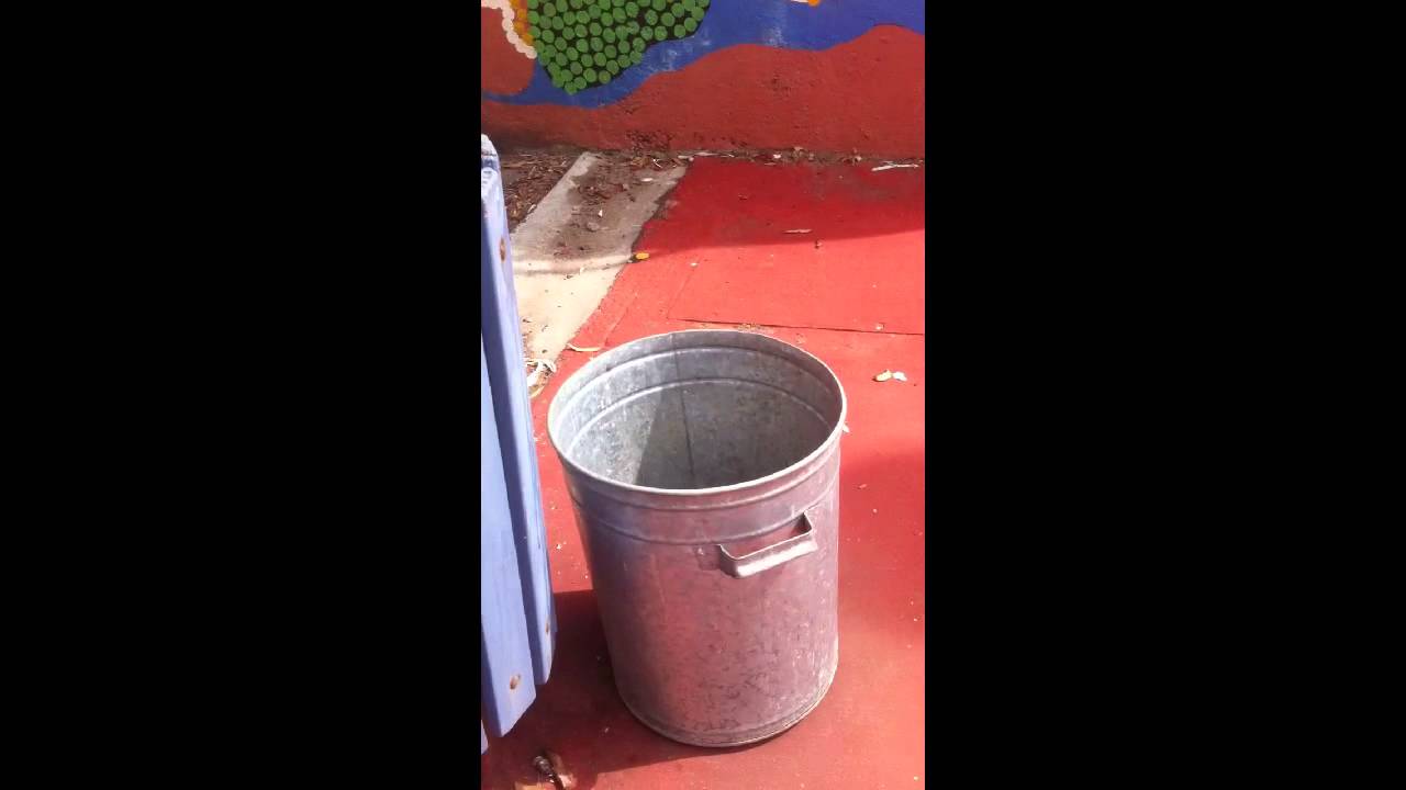 2 australian kids playin around like this shits easy