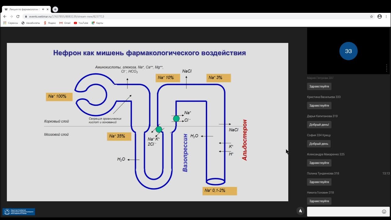 Диуретики - YouTube