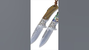 Handmade 167 Layers Damascus Steel VG10 Blade Abalone Shell Rose Wood Handle