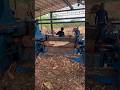 Perfect 🤩 wood hydraulic Machine working part 620 #viral #wood #shots #woodworking