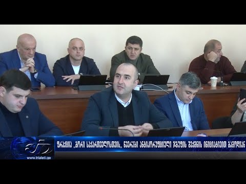 ფრაქცია ,,გორი საქართველოსთვის,, წევრები ანტიკორუფციული ჯგუფის შექმნის ინიციატივით გამოდიან