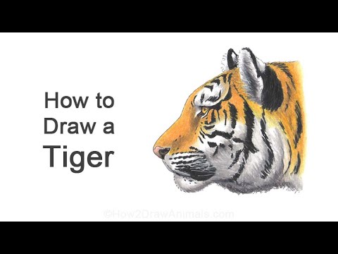 How to Draw Animals - YouTube