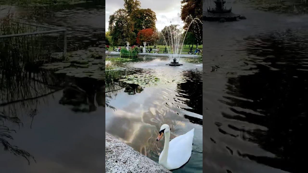 Early Autumn- Kensington Gardens, London UK 