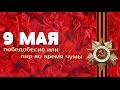 Anton SKALD - 9 мая. Победобесие или пир во время чумы.