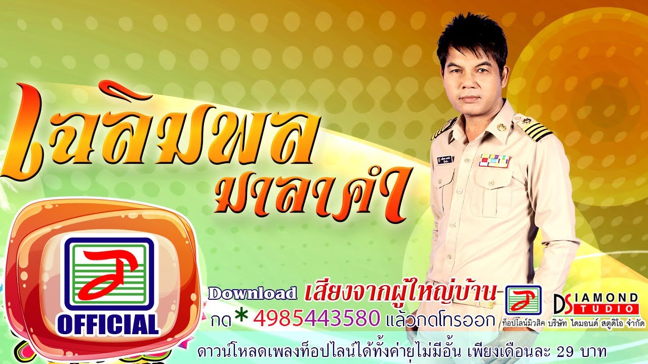 เสียงจากผู้ใหญ่บ้าน - เฉลิมพล มาลาคำ [OFFICIAL Audio]