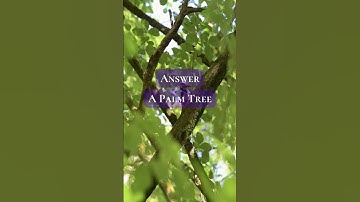 Riddle | riddles with answers #logicriddles   #brainteasers  #riddles