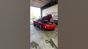 MaxToyZ trans am dyno at HPF