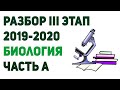 ПОЛНЫЙ РАЗБОР РТ III ЭТАП 2019-2020 / БИОЛОГИЯ / ЧАСТЬ А