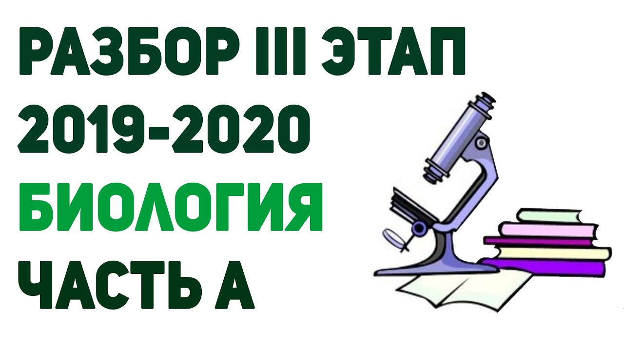 Рт 3 этап 2021